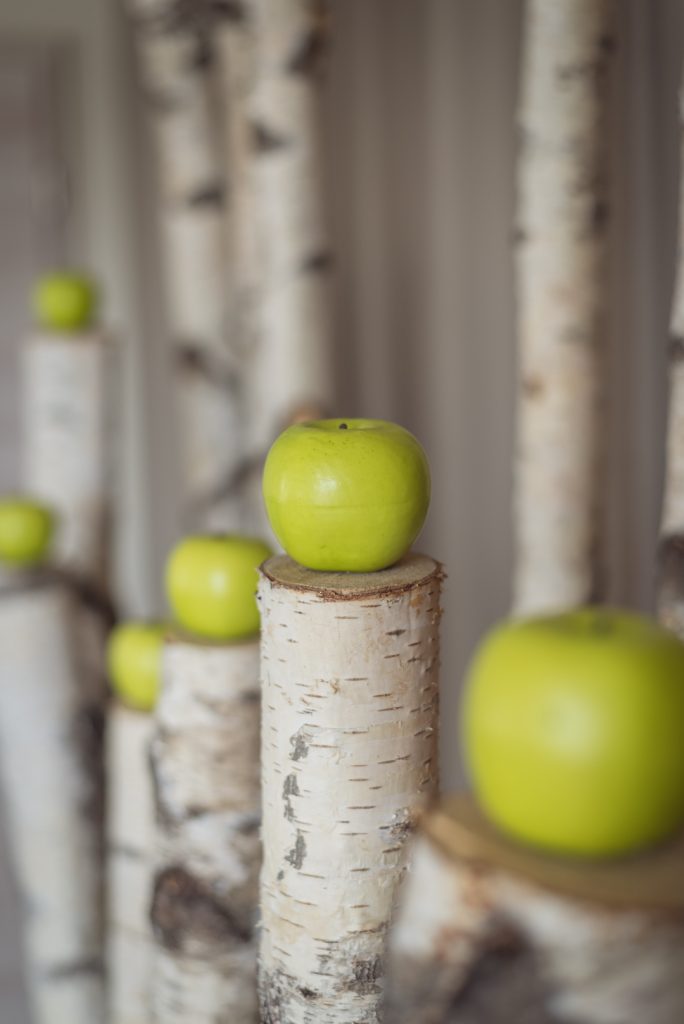 Stoffwechsel in Balance