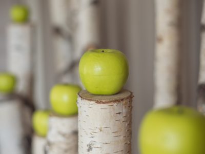 Stoffwechsel in Balance